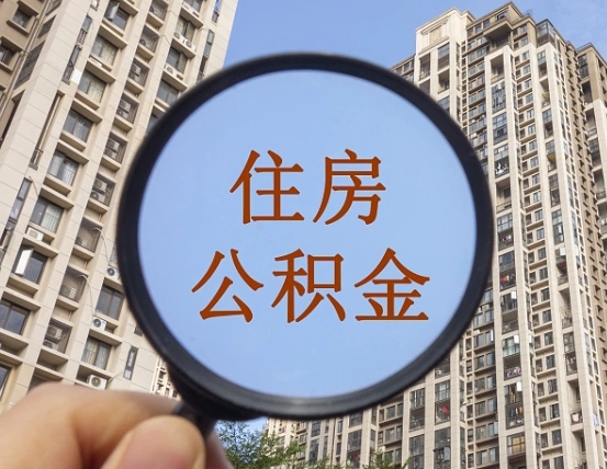 毕节公积金离职证明（毕节公积金离职证明范本）